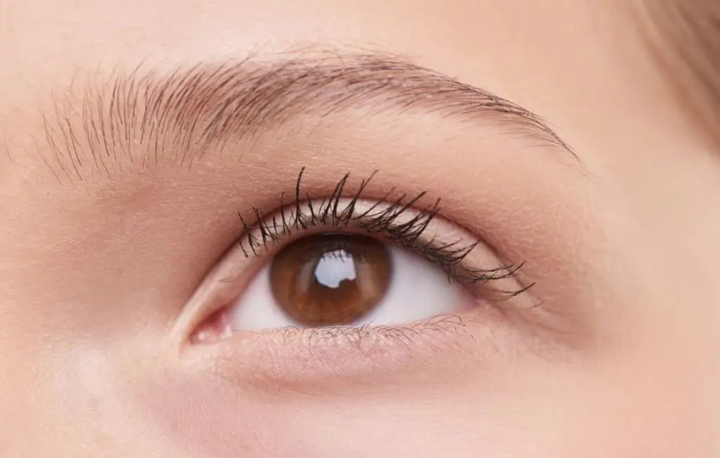 Image of an eye